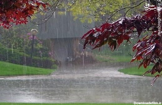 فیلم/ بارش شدید باران پاییزی در ایلام