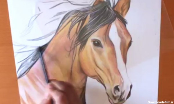 نقاشی سر اسب