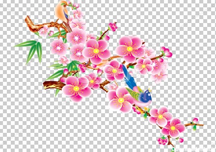 Borchin-ir-Plum-Blossoms photo عکس شکوفه بهاری و گل و بلبل۲