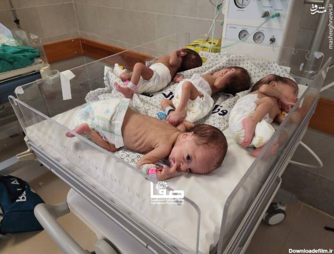 مشرق نیوز - عکس/ وضعیت نوزادان نارس در بیمارستان‌های غزه