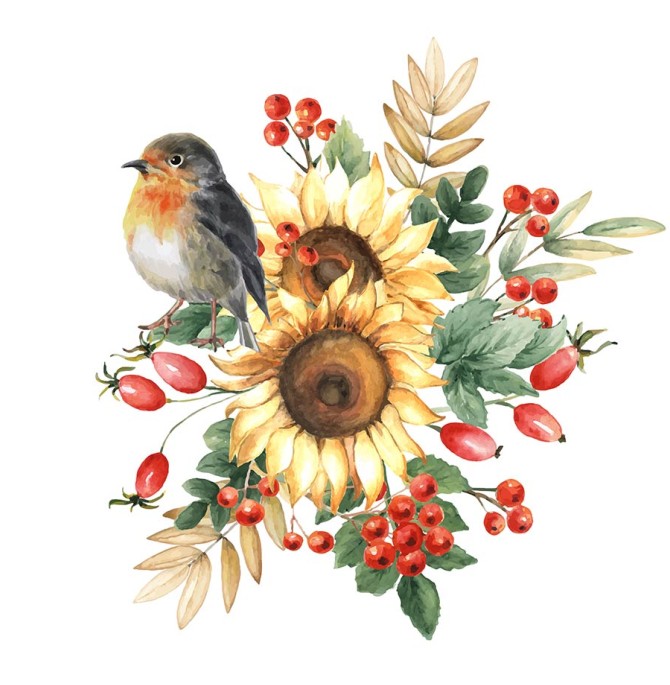 دانلود رایگان وکتور تصویر نقاشی شده پرنده و گل های آفتاب ...