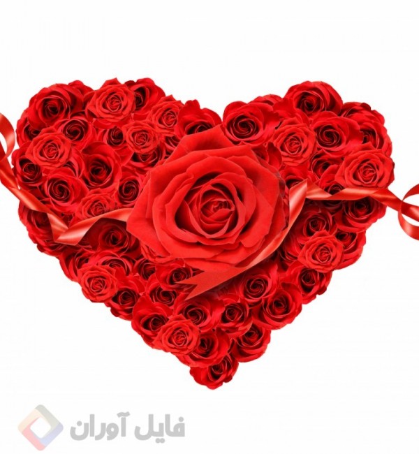 عکس گل های زر قلبی با کیفیت بالا | Image free downloads flowers ...