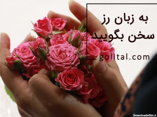 فروشگاه آنلاین گل و گیاه گلیتال | گل رز نماد چیست؟