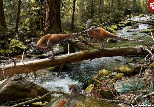 کشف گونه جدیدی از دایناسورها با اندازه‌ای شبیه مرغ‌ در انگلیس
