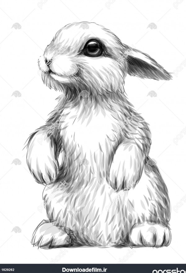 خرگوش طرح تصویر هنری گرافیکی از خرگوش در پس زمینه سفید برچسب ...