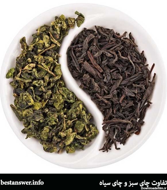 تفاوت چای سبز و چای سیاه چیست؟ - پاسخ نامه