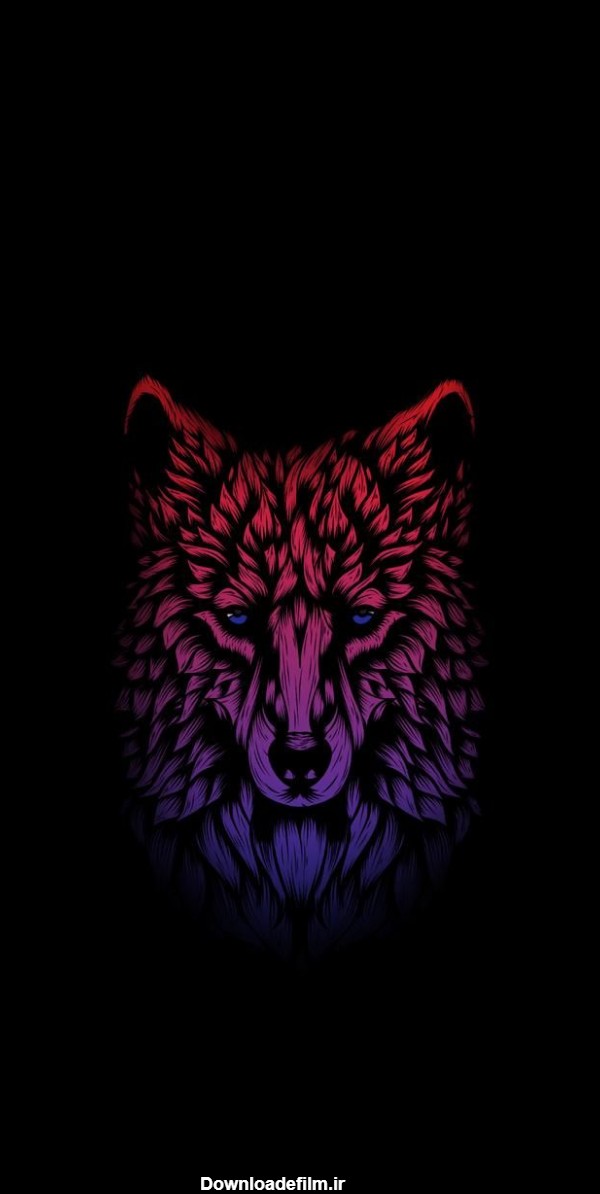 تصویر زمینه گرگ رنگی با نگاه نافذ و گیرا مخصوص اپل