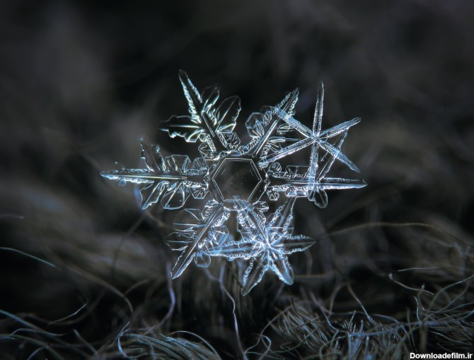 29 عکس نمای نزدیک و شگفت‌انگیز از دانه‌ های برف | گجت نیوز