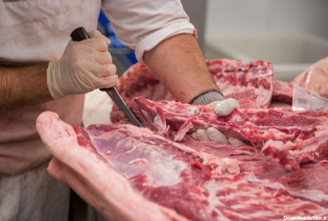 گزارش عجیب از عرضه گوشت اسب و الاغ در کشور | استفاده از گوشت گربه ...