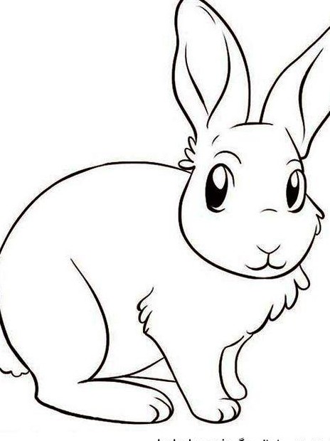 عکس نقاشی صورت خرگوش ساده ❤️ [ بهترین تصاویر ]