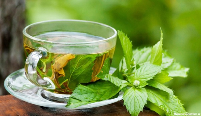 چایی سبز - دمنوش - فروشگاه آجیل و خشکبار تواضع