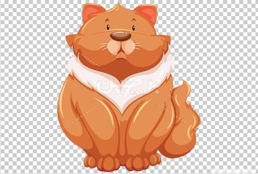 Borchin-ir-cat cartoon animal large photo عکس بدون زمینه و وکتور گربه نارنجی چاق بانمک۲