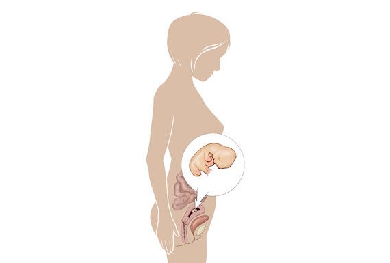هفته هفتم بارداری، علائم سقط در هفته ۷ و محل جنین در شکم