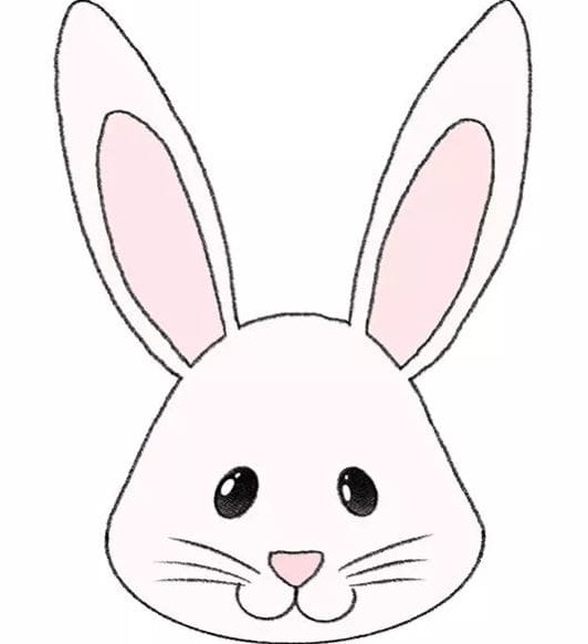 عکس خرگوش ساده نقاشی