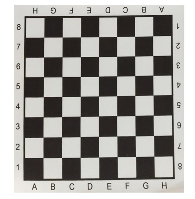 زمین بازی شطرنج - pabmika
