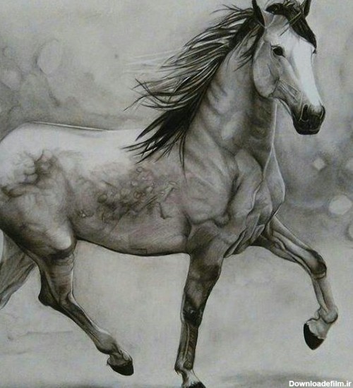 مدل نقاشی اسب