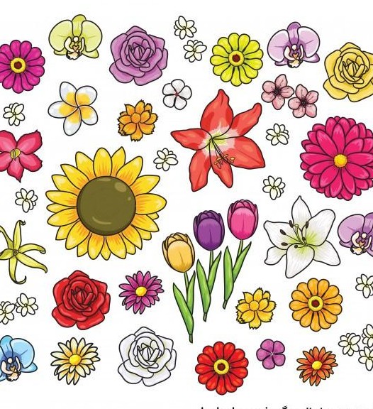 عکس گلهای زیبای کارتونی ❤️ [ بهترین تصاویر ]
