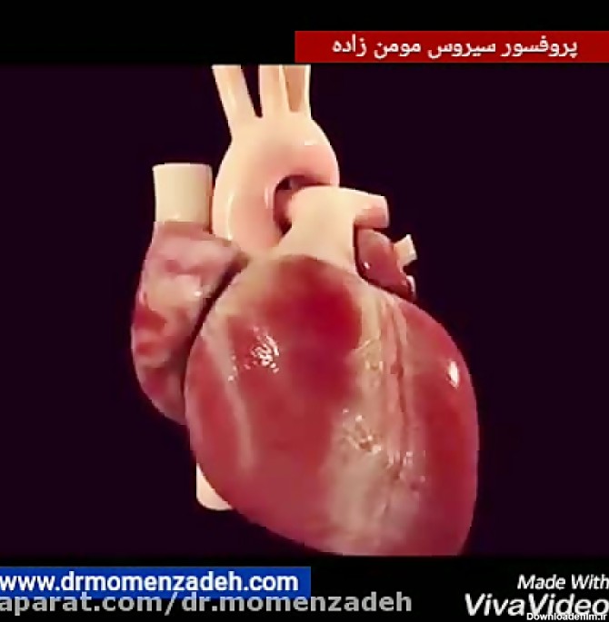 انیمیشن جذاب تپش قلب و نحوه ی عمل کرد ماهیچه های قلب