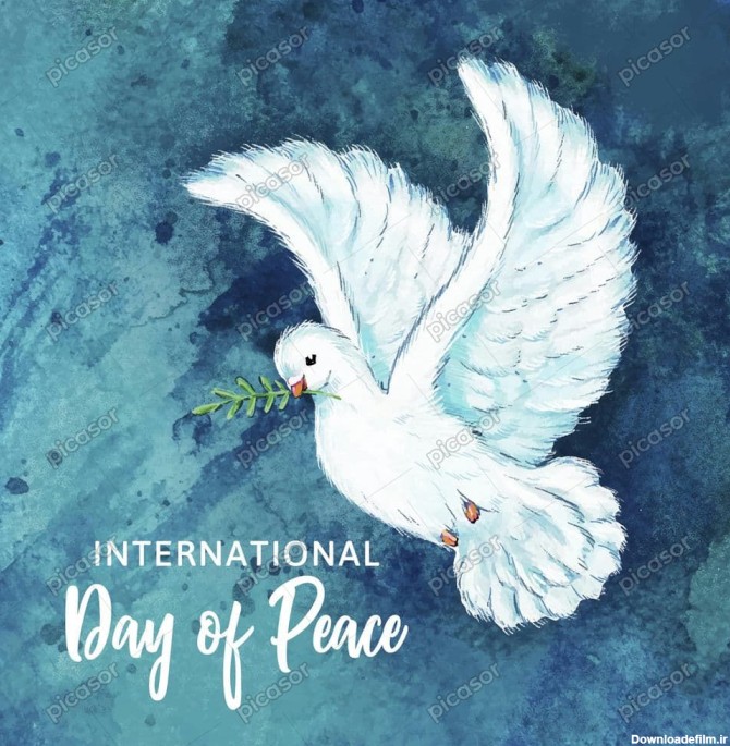 وکتور کبوتر صلح روز جهانی صلح - وکتور کبوتر سفید با شاخه زیتون ...