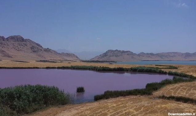 راز دریاچه رنگارنگ عراق چیست؟ | میدل ایست نیوز