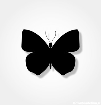 وکتور پروانه سیاه و سفید 19 | وکتورلو