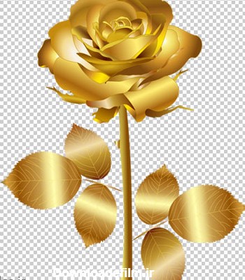 شاخه گل رز طلایی شکل با فرمت PNG (ترانسپرنت و بدون پس زمینه)