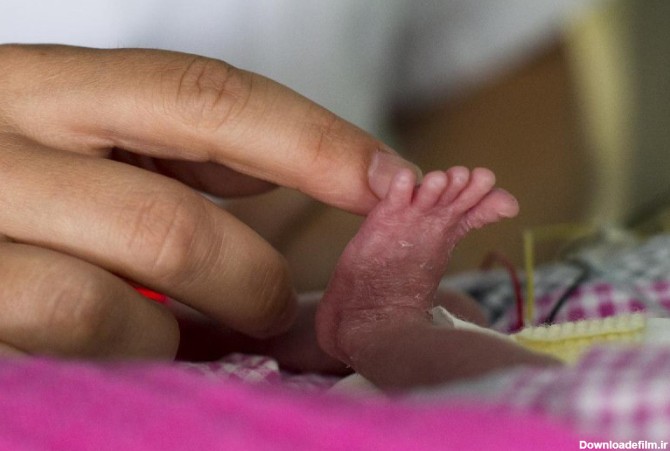موش ها پای نوزاد 18 روزه را خوردند + عکس / هند