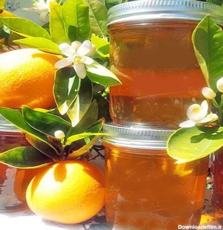 خرید و قیمت عسل طبیعی مرکبات جنوب ، یک کیلو، از شهد گلهای لیمو و ...
