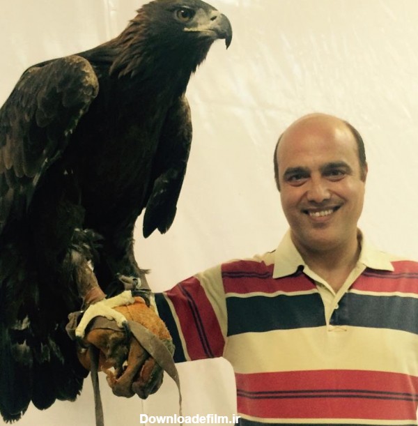 عکس عقاب واقعی در ایران - عکس نودی