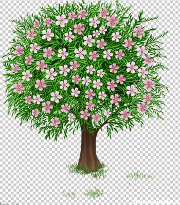 تصویر کارتونی دوربری شده درخت با شکوفه های بهاری (png ترانسپرنت)