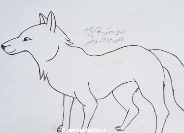 عکس نقاشی صورت گرگ کودکانه ❤️ [ بهترین تصاویر ]