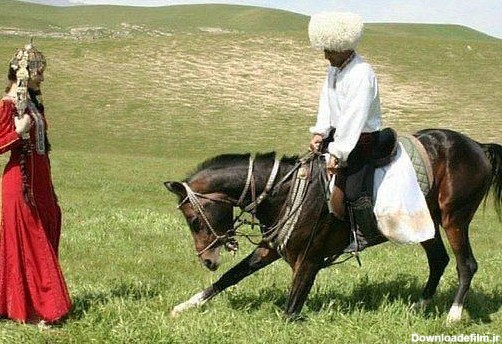 اسب ترکمن: بال پرواز ترکمن - اولین پایگاه اطلاع رسانی دانشجویان ترکمن