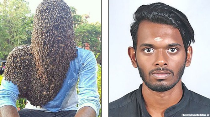 عکس | مرد هندی با ۶۰ هزار زنبور روی سر و صورت - همشهری آنلاین