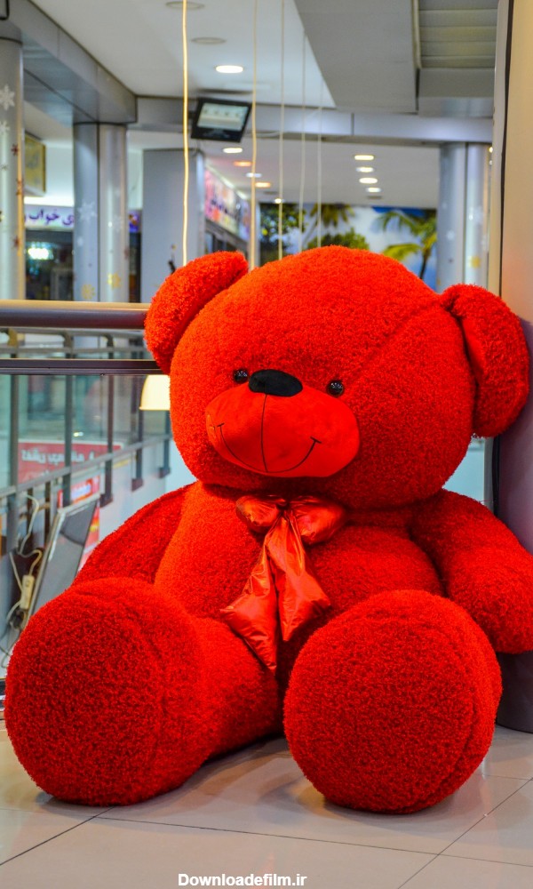 خرس قرمز خیلی خپل و گنده دو متر و سی سانتی - بزرگترین فروشگاه ...