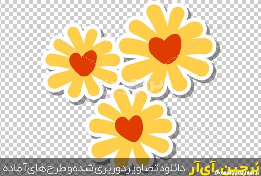 Borchin-ir-yellow flower عکس گرافیکی ۳ گل زیبا بصورت لایه باز۲