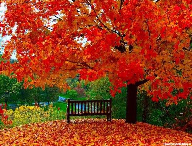 انشا در مورد فصل پاییز + 10 انشای زیبا در مورد پاییز و زیبایی های آن