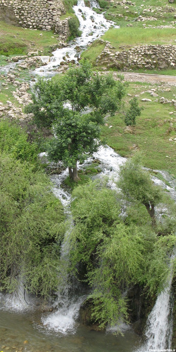 تصاویری زیبا از طبیعت شهرستان لالی در خوزستان | نسخه چاپی