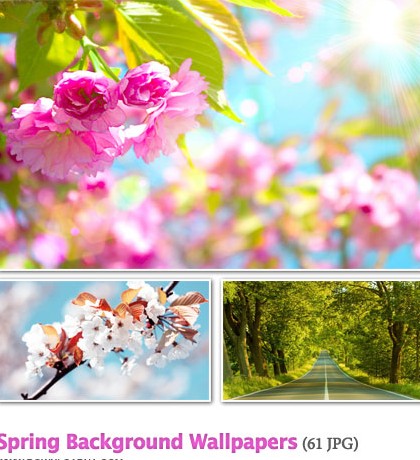 دانلود مجموعه 61 والپیپر زیبا و بهاری Spring Background Wallpapers