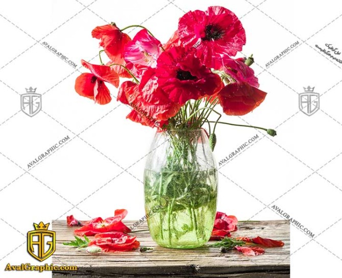 شاتر استوک عکس گل شقایق قرمز