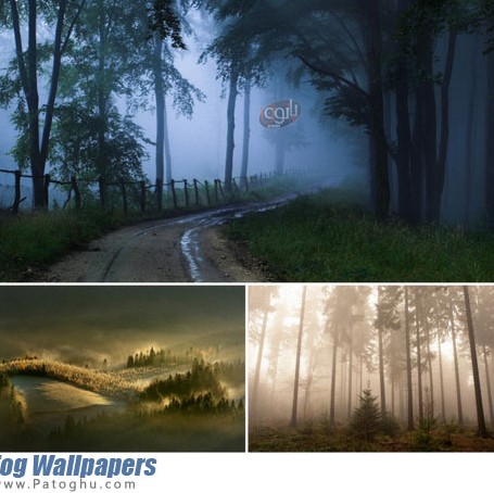 مجموعه تصاویر با کیفیت جنگل برای پس زمینه دسکتاپ Fog Wallpapers