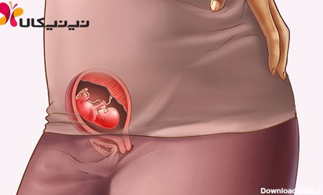 هفته یازدهم بارداری، شرایط جنین و مادر، تغذیه، غربالگری