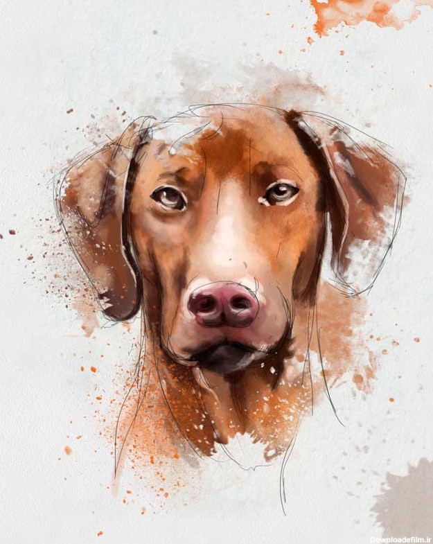 دانلود تصویر نقاشی سگ قهوه ای