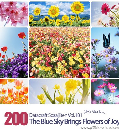 دانلود مجموعه عکس های گل های زیبا و با طروات - Datacraft Sozaijiten Vol.181 The Blue Sky Brings Flow