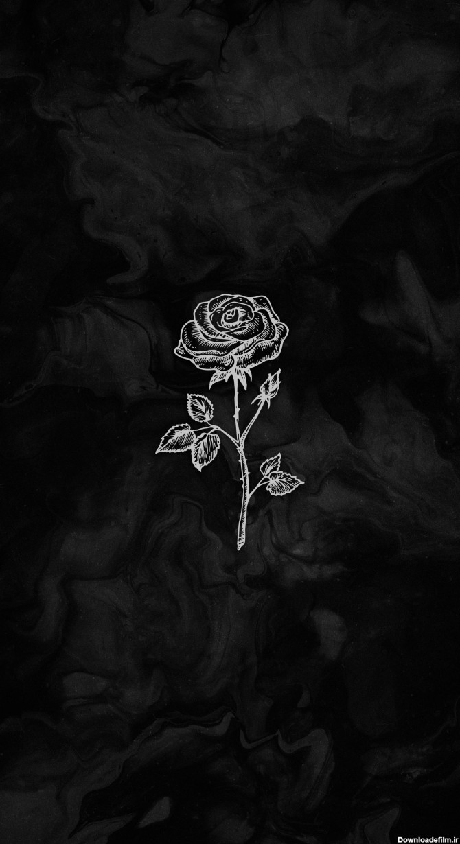 عکس زمینه نقاشی گل رز سیاه و سفید هنری پس زمینه | والپیپر گرام