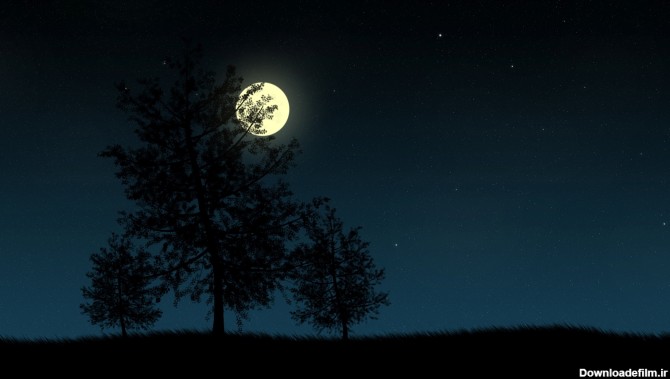 یه شبِ مهتاب ... ماه میاد تو خواب ... | طرفداری