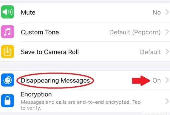 9 ترفند کاربردی در واتساپ؛ از حذف خودکار پیام تا تنظیم پس زمینه برای چت‌ها