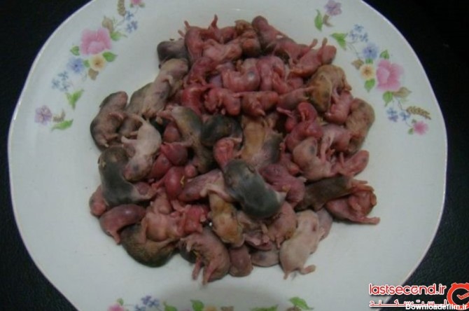 خوردن حیوانات زنده در چین؛ از میمون تا مار زنده + عکس | لست سکند