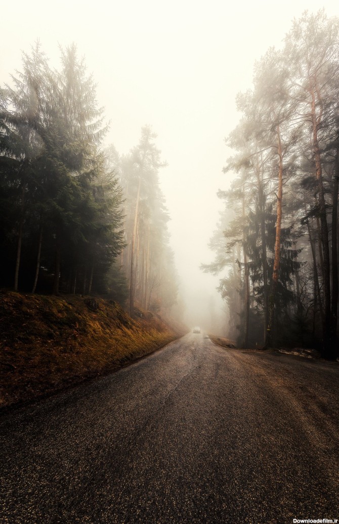 عکس زمینه جاده مه آلود جنگلی سرد پس زمینه | والپیپر گرام
