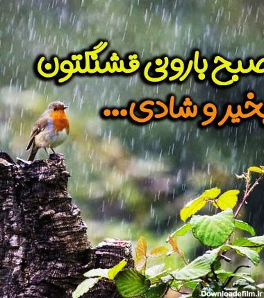 جملات صبح بخیر بارانی + پیام و جمله کوتاه صبح بخیر روز بارانی به ...