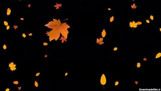 ویدیوی موشن گرافیک افتادن برگ های پاییزی • مخزن ودره